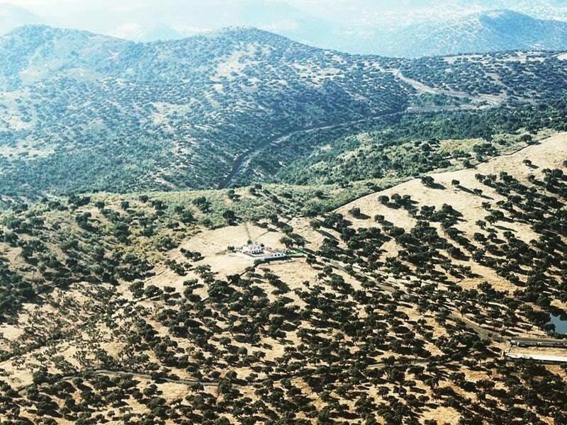 Dehesillas Country house *